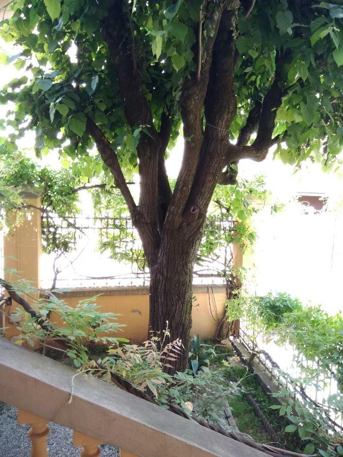 Апартаменты Tilia Болонья Экстерьер фото